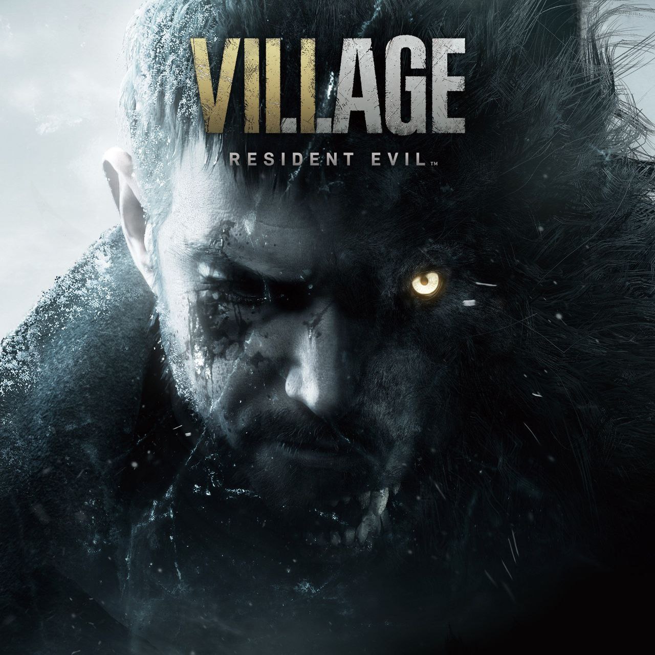 Re Village